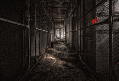 Grown-Up Games: Top Escape Rooms Designed for Adults